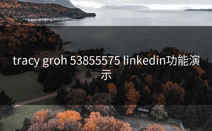 tracy groh 53855575 linkedin功能演示