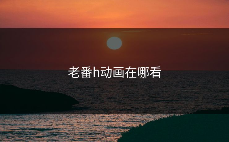 老番h动画在哪看