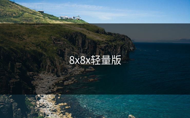 8x8x轻量版